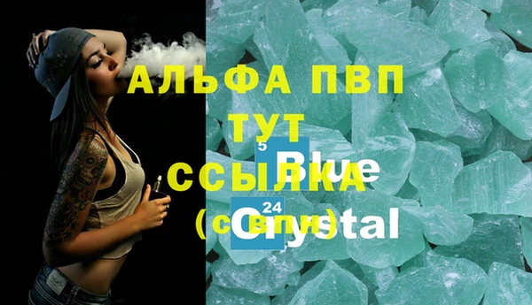 стаф Баксан