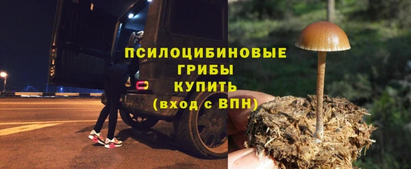 соль ск Армянск